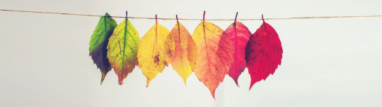 Seasonal Changes and Your Diabetes 