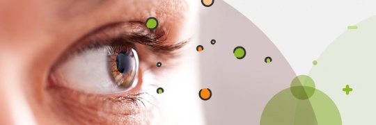 Close up of a brown eye